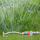 Illustration for article titled How to Protect Your Garden During the Hot Summer
